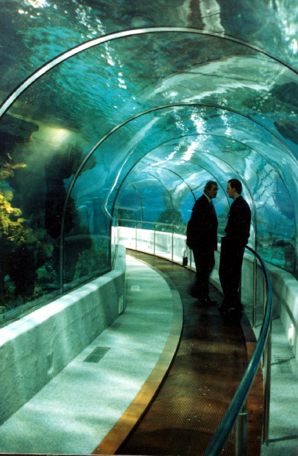 Various pictures of Barcelona