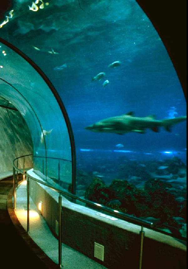 Various pictures of Barcelona