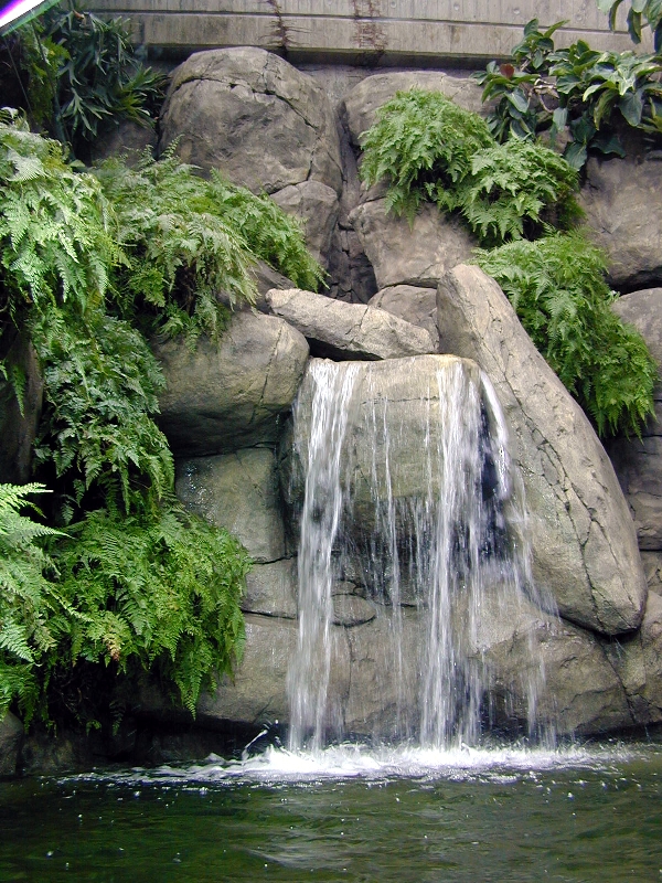 Various pictures of exhibits