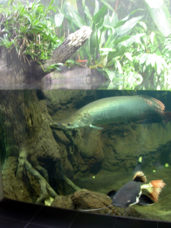 Various pictures of exhibits