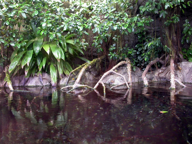 Various pictures of exhibits