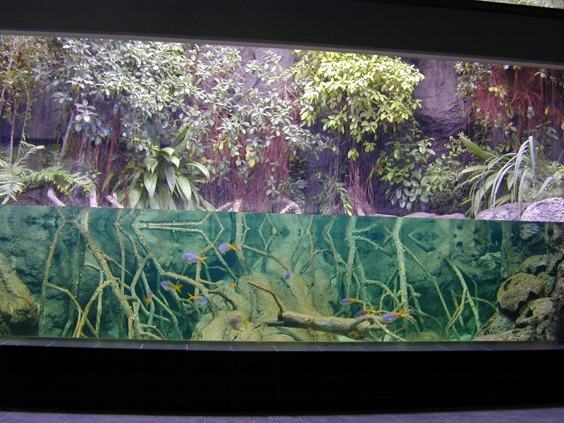 Various pictures of exhibits