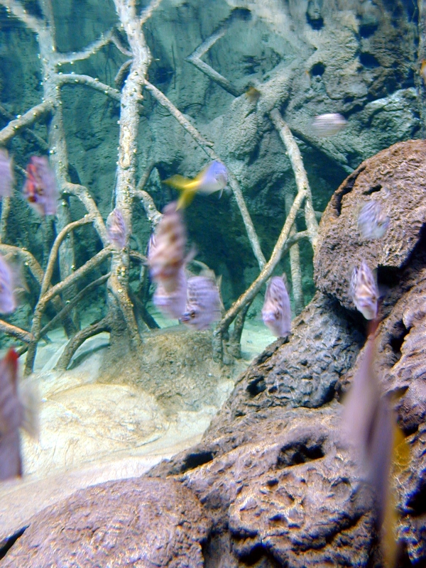 Various pictures of exhibits