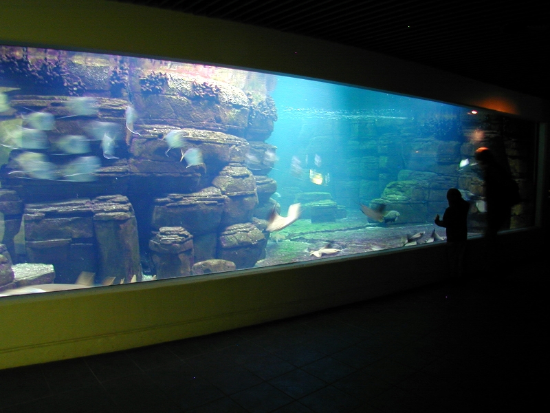 Various pictures of exhibits