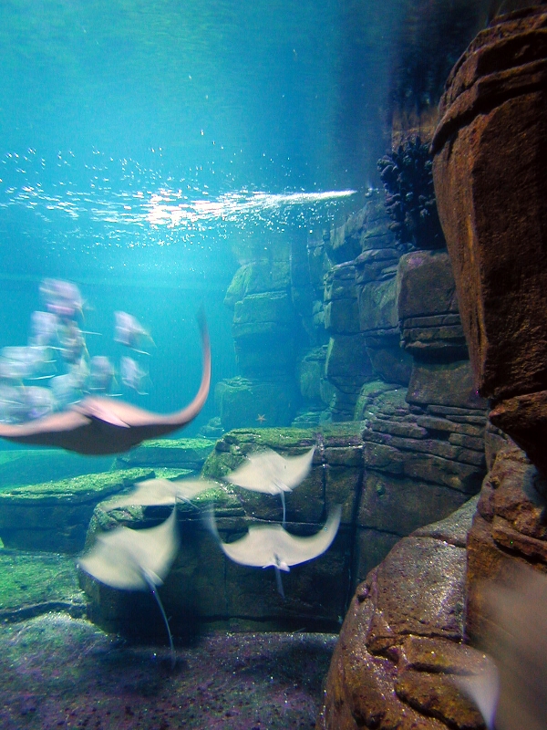 Various pictures of exhibits