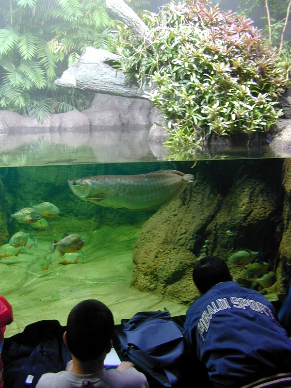 Various pictures of exhibits