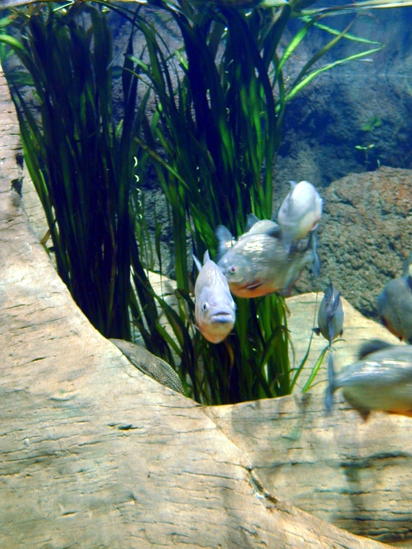 Various pictures of exhibits