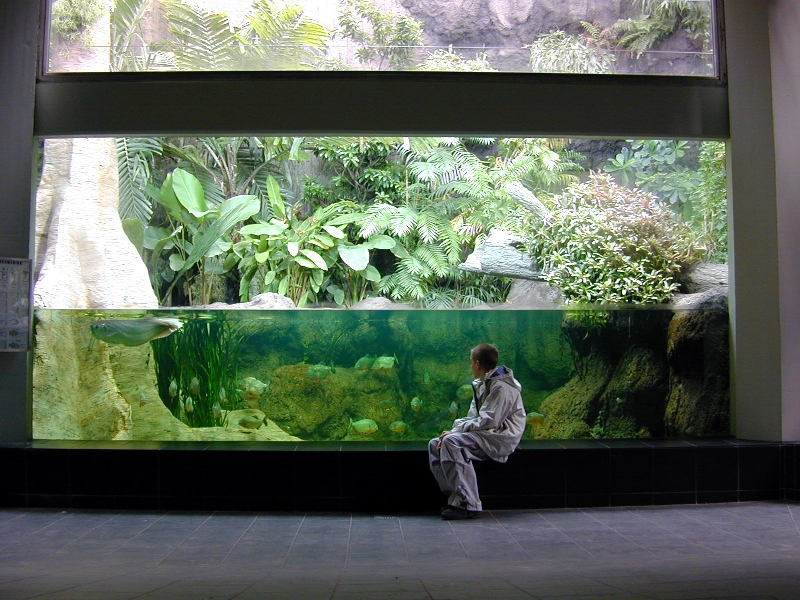 Various pictures of exhibits