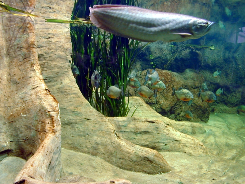 Various pictures of exhibits