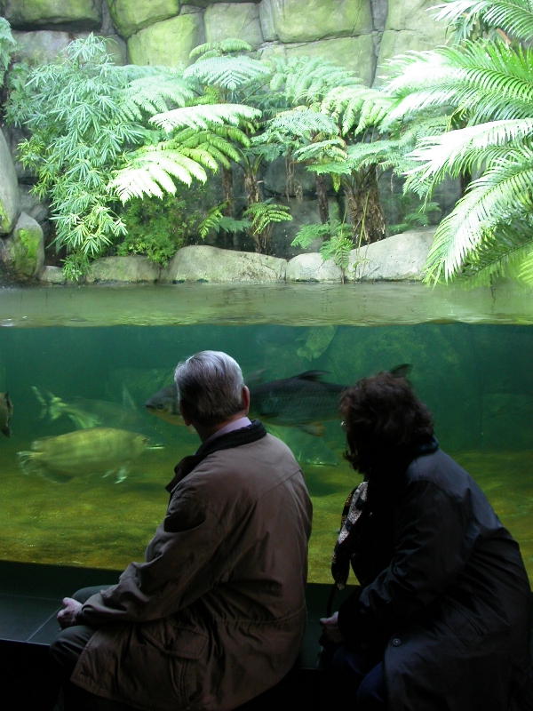 Various pictures of exhibits