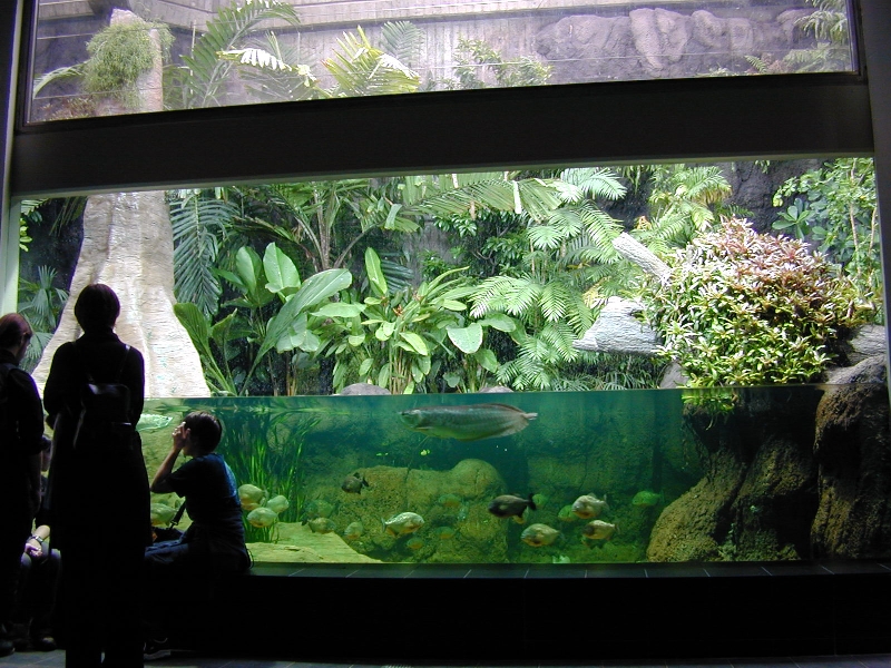 Various pictures of exhibits