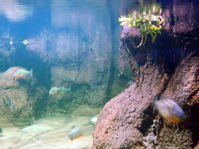 Various pictures of exhibits