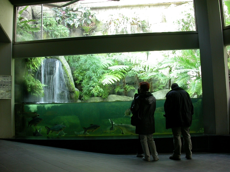 Various pictures of exhibits