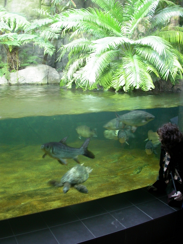 Various pictures of exhibits