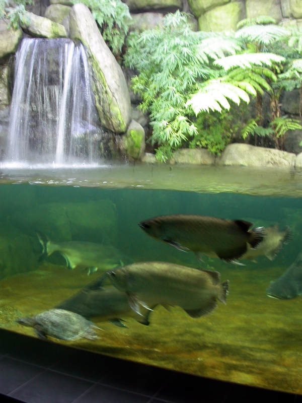 Various pictures of exhibits