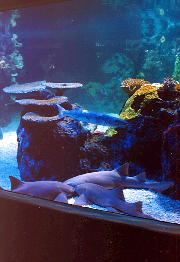 Various pictures of exhibits