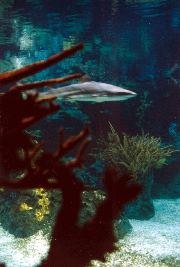 Various pictures of exhibits