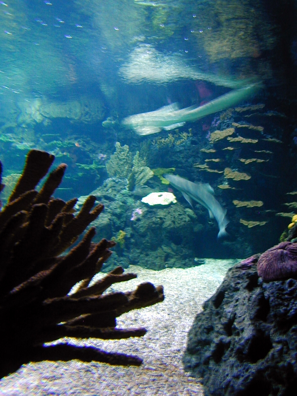 Various pictures of exhibits