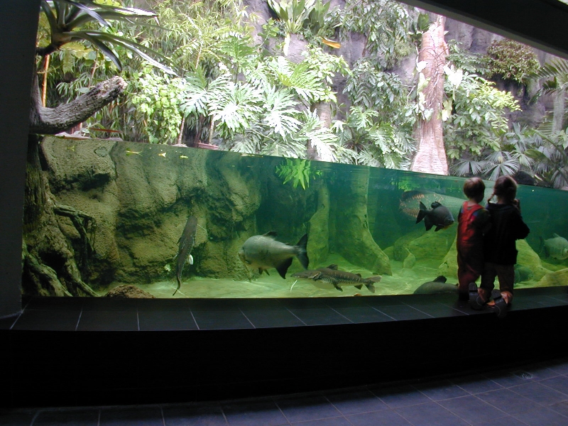 Various pictures of exhibits