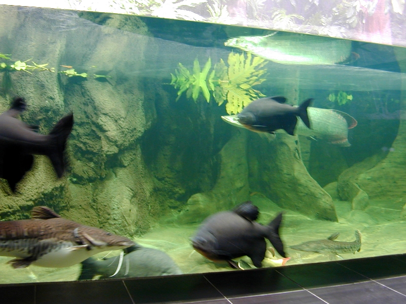 Various pictures of exhibits