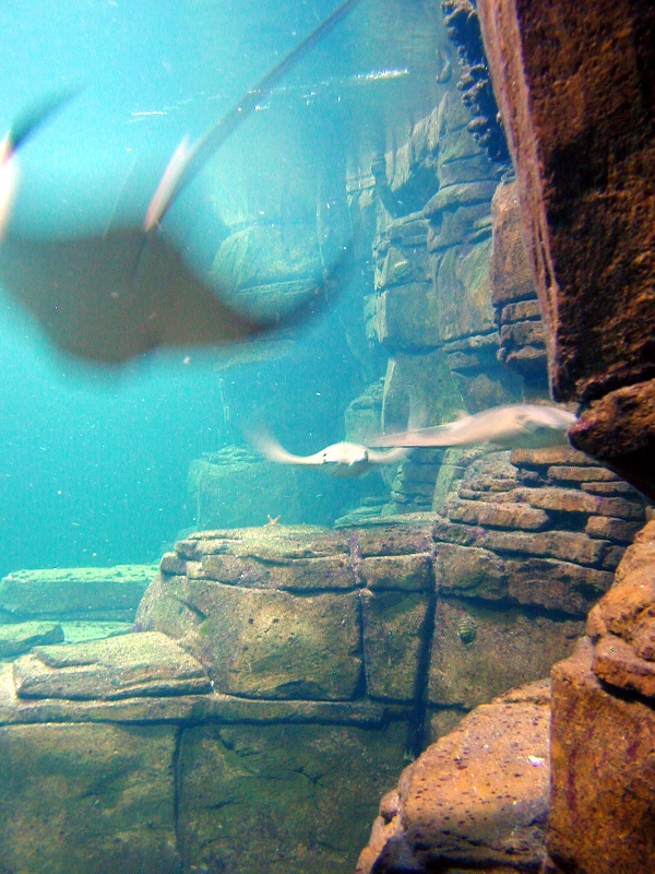 Various pictures of exhibits