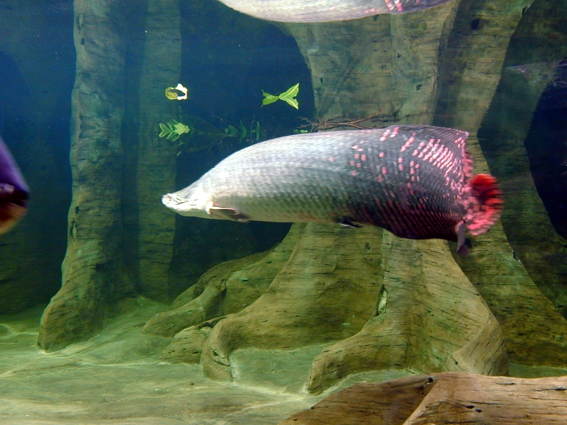 Various pictures of exhibits