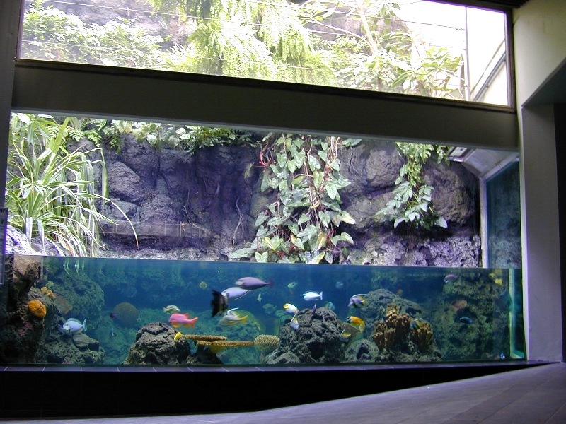 Various pictures of exhibits