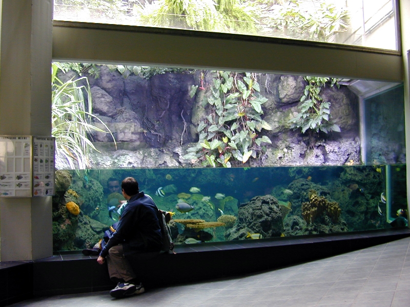 Various pictures of exhibits