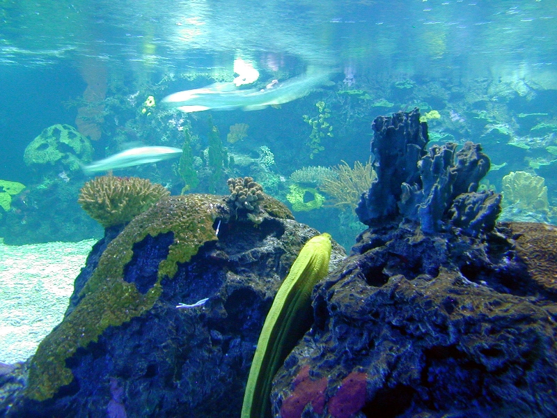 Various pictures of exhibits