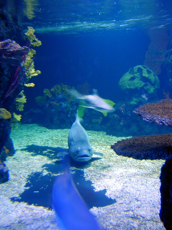 Various pictures of exhibits