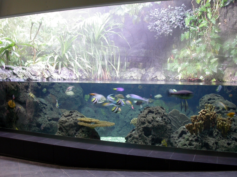 Various pictures of exhibits