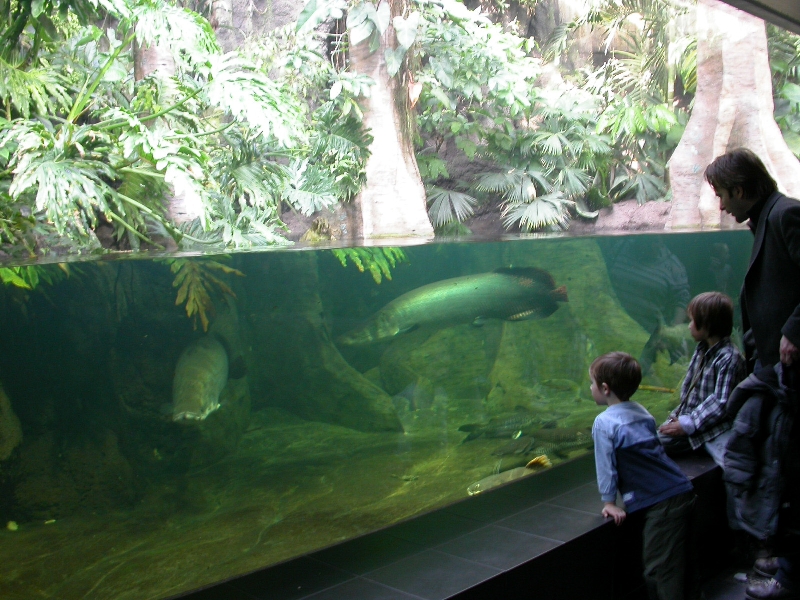 Various pictures of exhibits