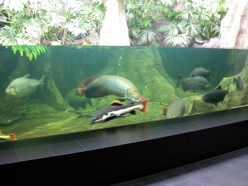 Various pictures of exhibits