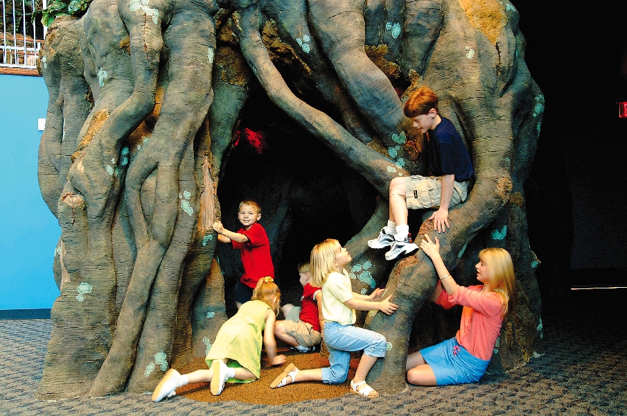 Various pictures of gatlinburg