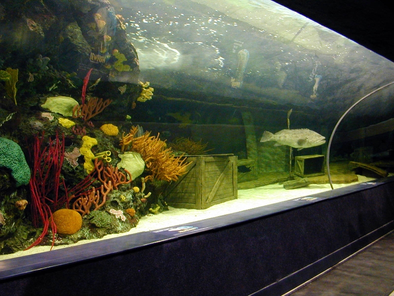 Various pictures of gatlinburg