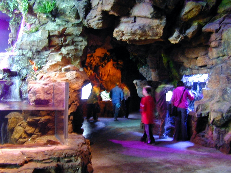 Various pictures of gatlinburg