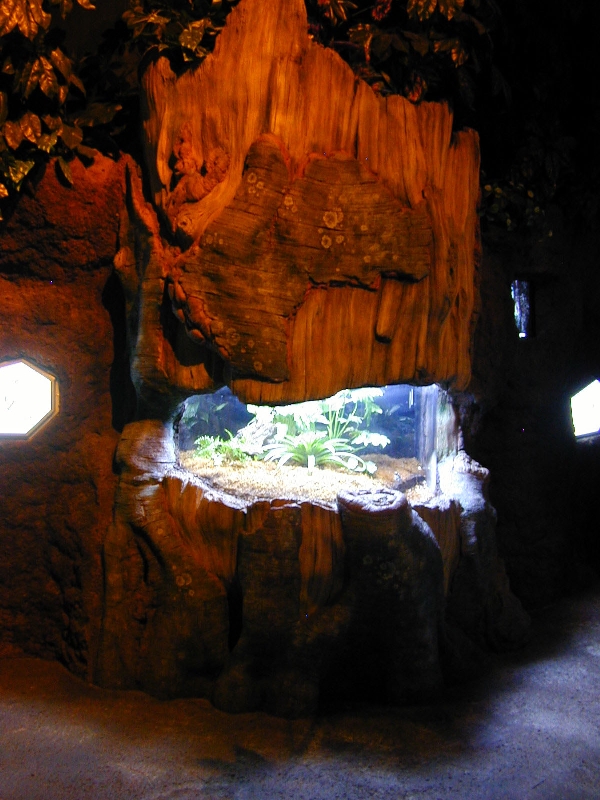 Various pictures of gatlinburg