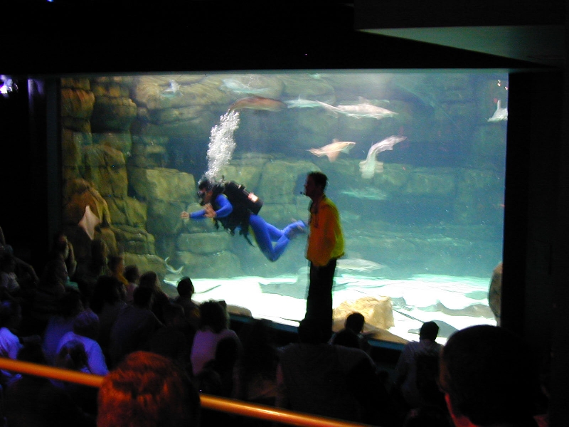 Various pictures of gatlinburg