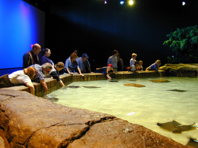 Various pictures of gatlinburg