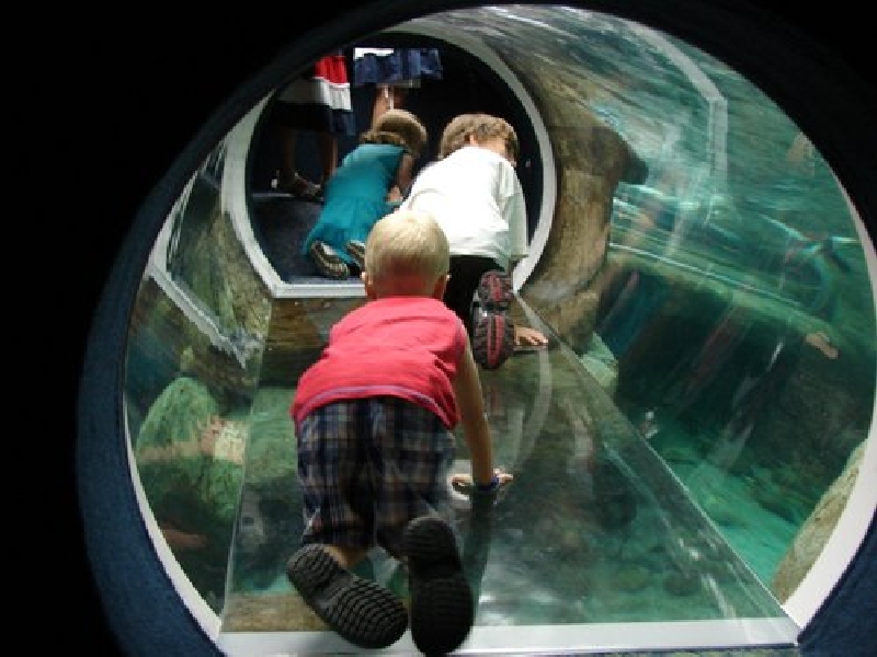 Various pictures of gatlinburg