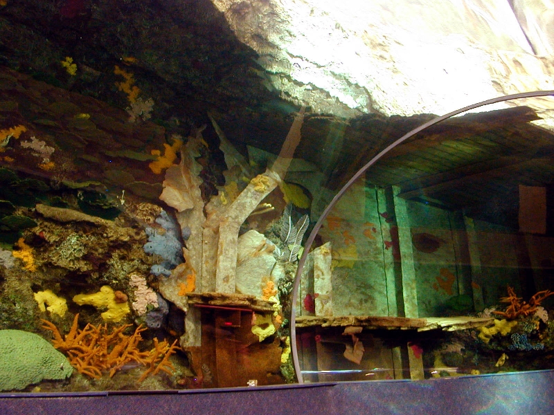 Various pictures of gatlinburg