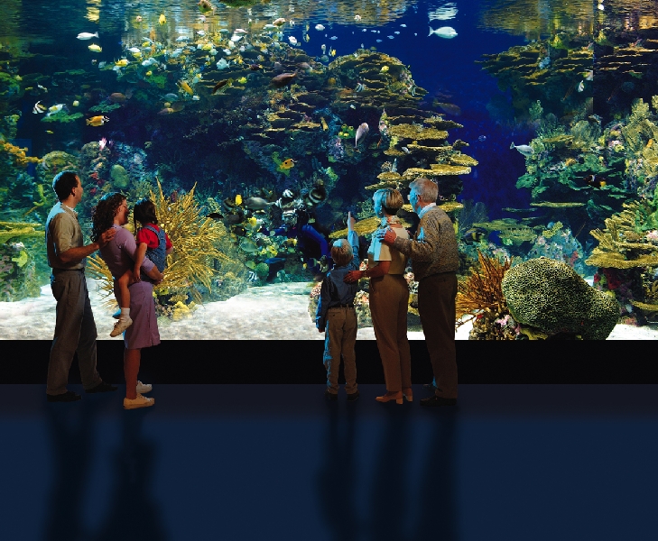 Various pictures of gatlinburg