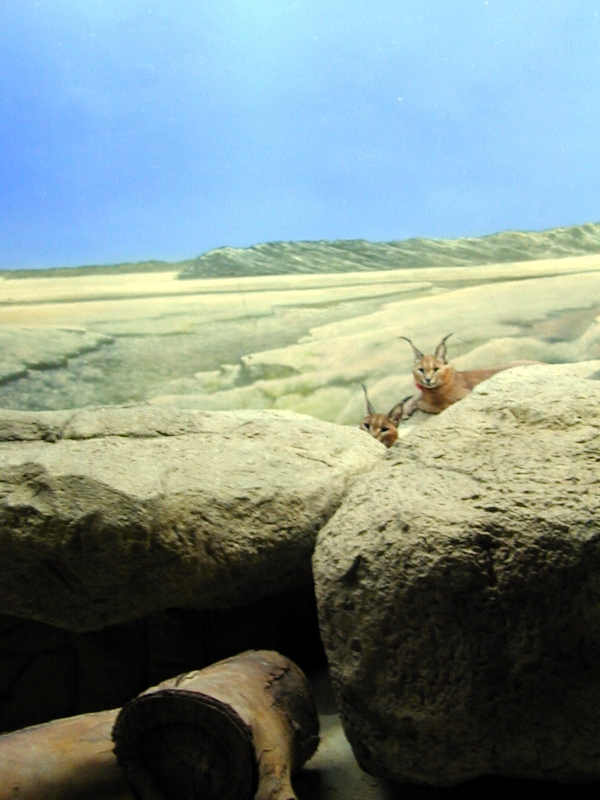 Various pictures of Kuwait Scienctific Centre