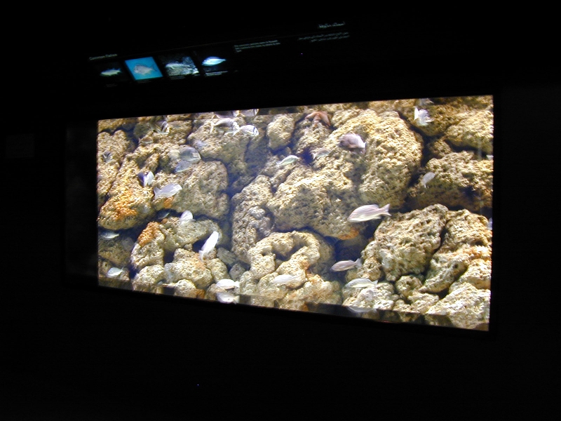 Various pictures of Kuwait Scienctific Centre