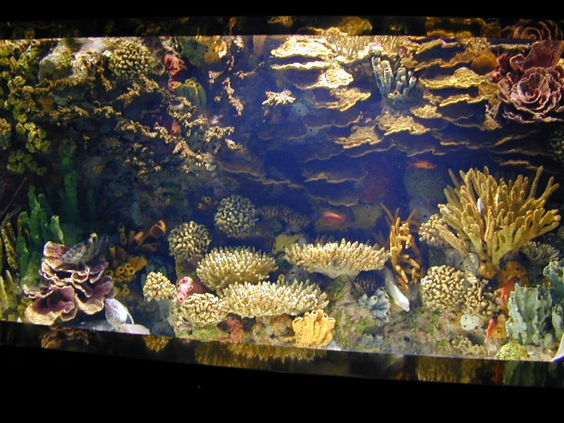 Various pictures of Kuwait Scienctific Centre