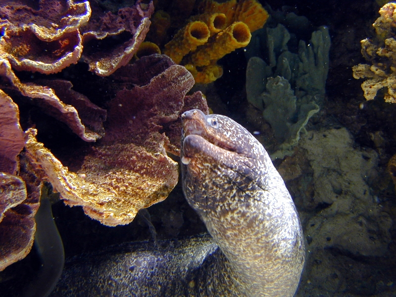 Various pictures of Kuwait Scienctific Centre