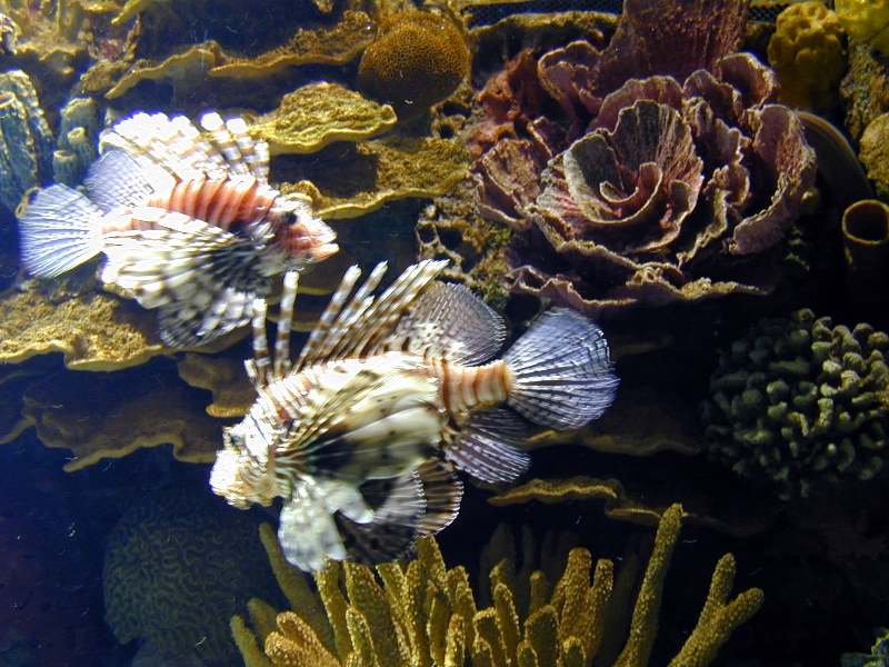 Various pictures of Kuwait Scienctific Centre