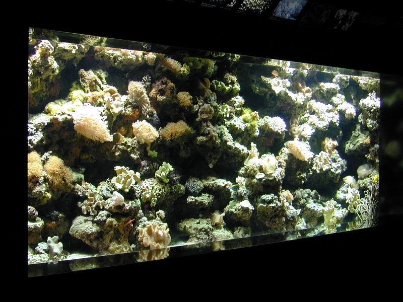 Various pictures of Kuwait Scienctific Centre