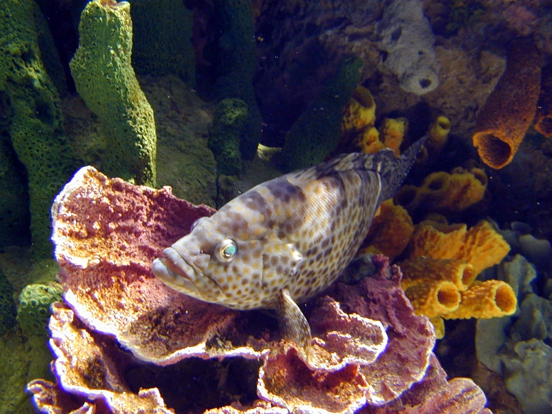 Various pictures of Kuwait Scienctific Centre