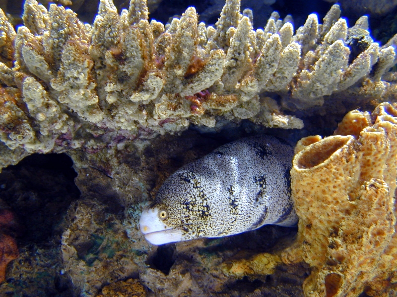 Various pictures of Kuwait Scienctific Centre